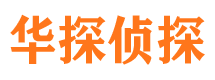 城东市私家侦探公司